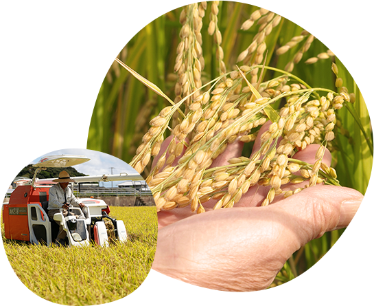 みなさまに届ける